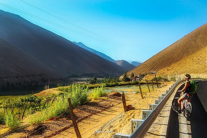 Bike tour, Villages of Elqui