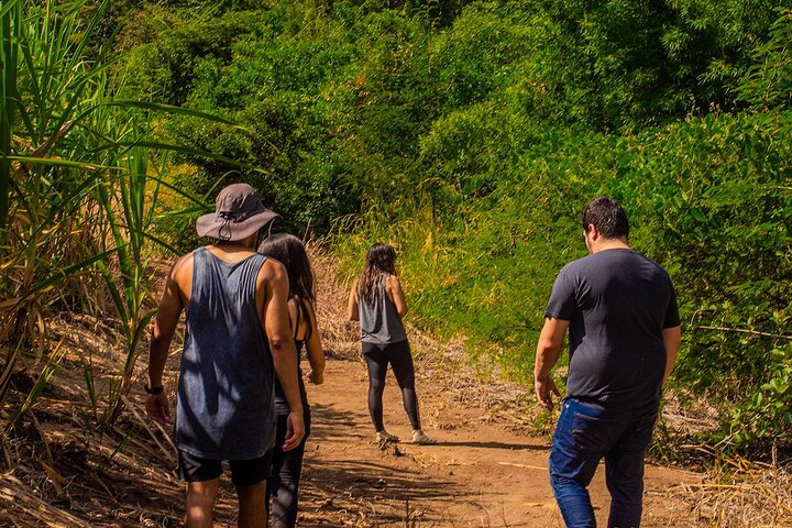 Guided ATV Tour to Malacatiupán Hot Springs
