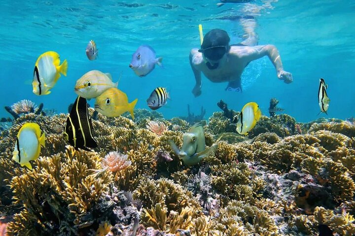 Cabo Rojo Catamaran Sailing & Snorkeling UP to 20 Guests