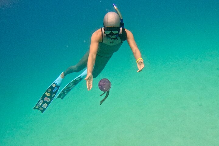 Guam's 5* Guided Snorkeling/Freediving Tour!