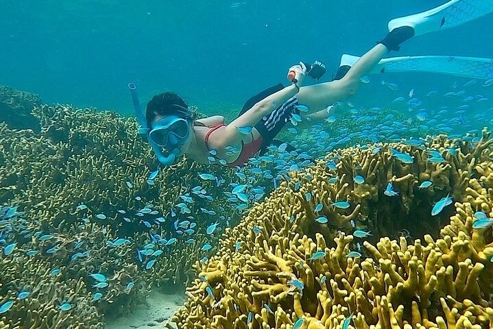 Guam's 5* Guided Snorkeling/Freediving Tour!