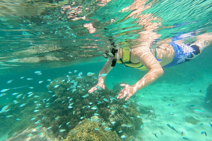 Guam's 5* Guided Snorkeling/Freediving Tour!