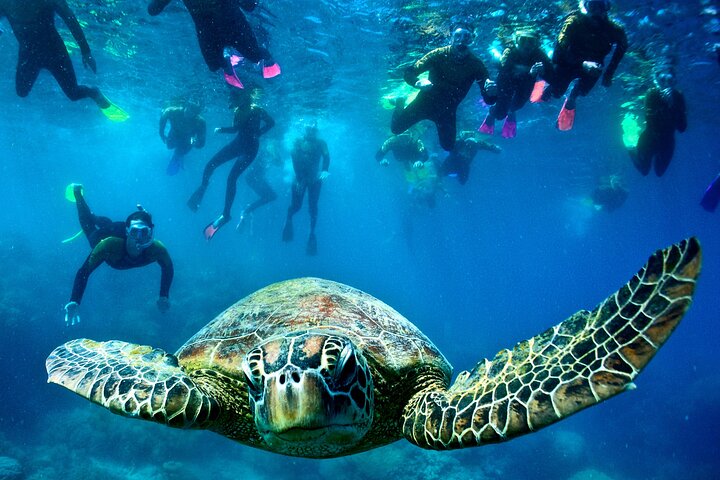 Whitsunday Islands Sail, SUP & Snorkel Tour-Small group