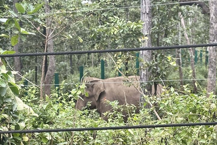 Yok Don Elephant Sanctuary and Don Village