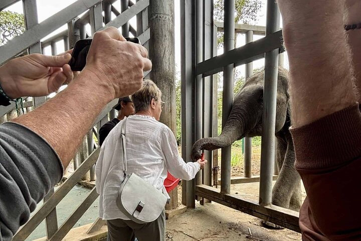 Yok Don Elephant Sanctuary and Don Village