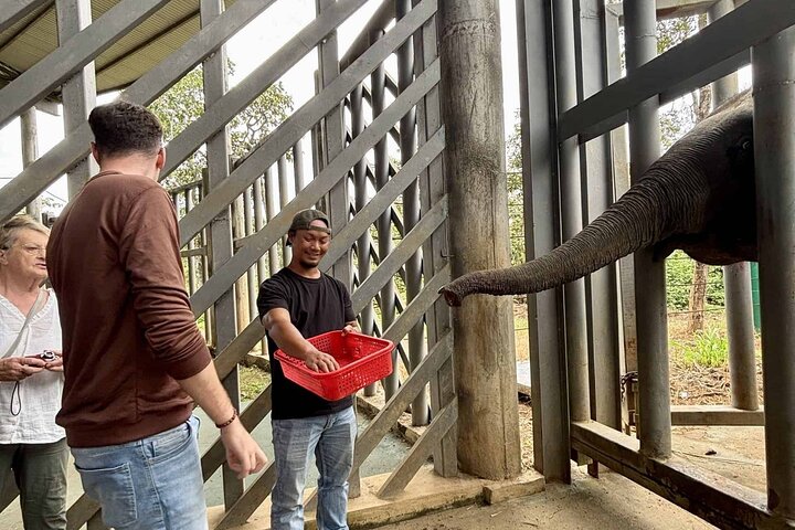 Yok Don Elephant Sanctuary and Don Village