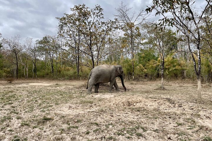Yok Don Elephant Sanctuary and Don Village