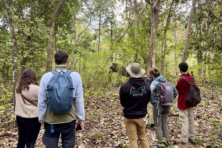 Yok Don Elephant Sanctuary and Don Village