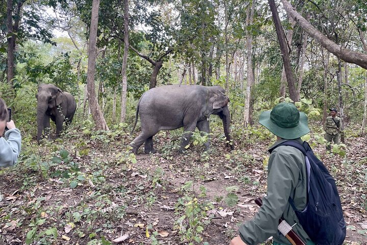 Yok Don Elephant Sanctuary and Don Village