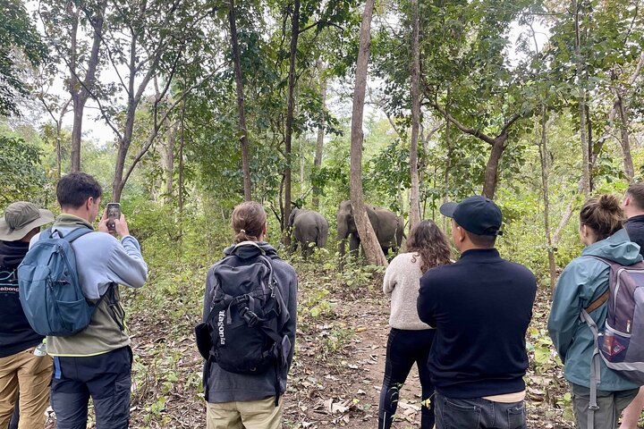 Yok Don Elephant Sanctuary and Don Village