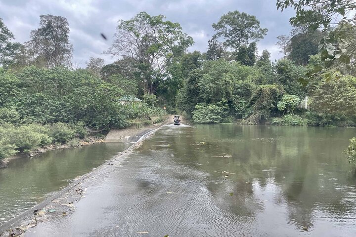Yok Don Elephant Sanctuary and Don Village