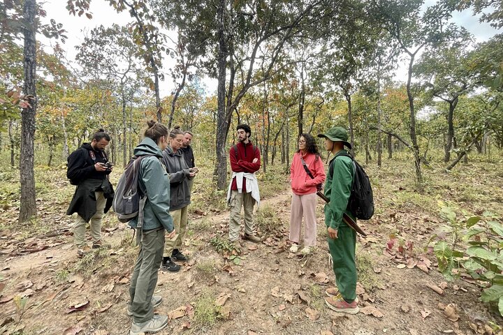 Yok Don Elephant Sanctuary and Don Village
