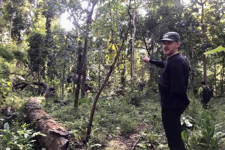 Yok Don Elephant Sanctuary and Don Village