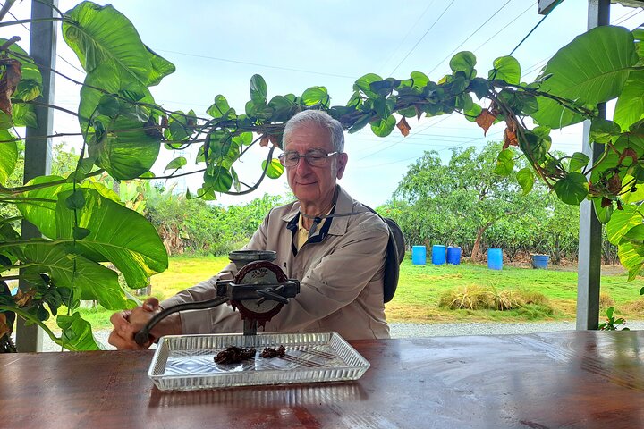 Cocoa and Tropical Fruits Farm with Fine Chocolate Experience