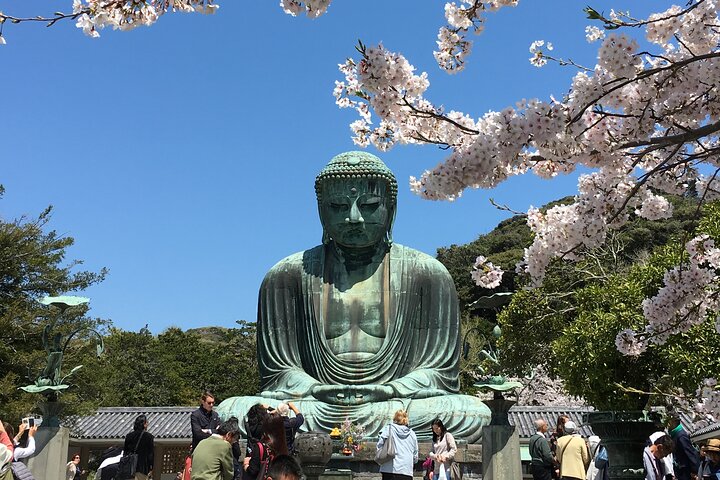 Kamakura Historical Discovery | Private Licensed Guide & Driver