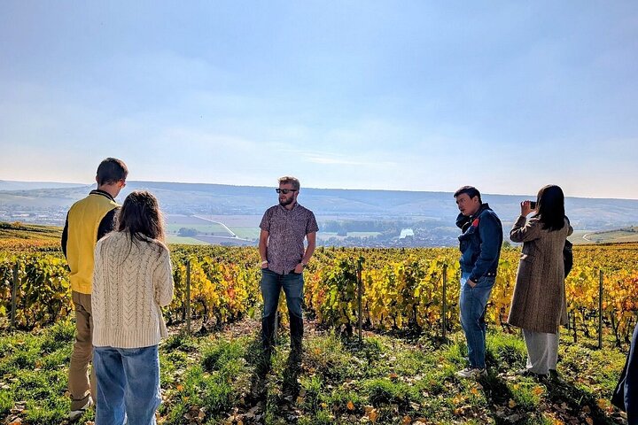 From Reims morning Champagne family growers