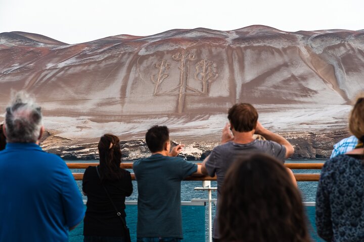 Ballestas Islands Wildlife: Private Shore Tour from Pisco Port