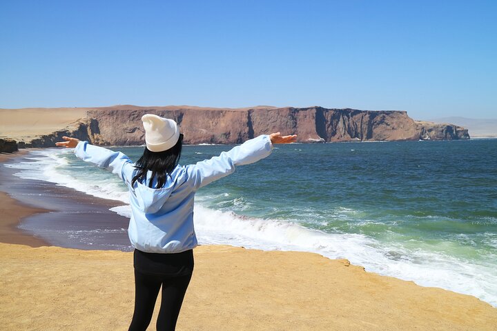 Paracas Coastal Wonder: Private Shore Tour from Pisco Cruise Port