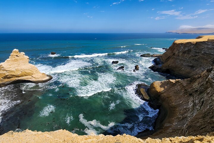 Paracas Coastal Wonder: Private Shore Tour from Pisco Cruise Port