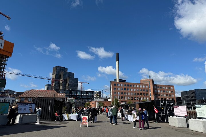 Aarhus Private Walking Tour with a Local