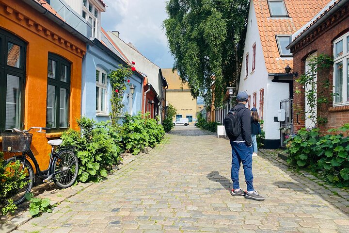 Aarhus Private Walking Tour with a Local