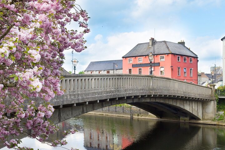 Kilkenny Private Walking Tour with a Local