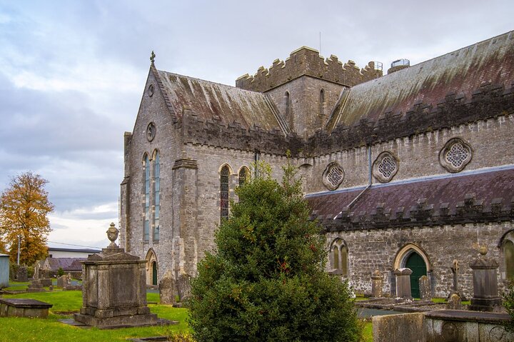 Kilkenny Private Walking Tour with a Local