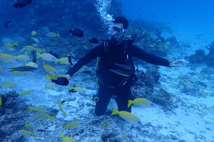 Diving experience on Ishigaki Island - including equipment rental - Shower available - Photo gift -