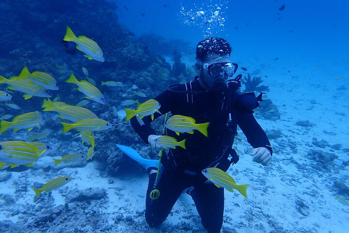 Diving experience on Ishigaki Island - including equipment rental - Shower available - Photo gift -