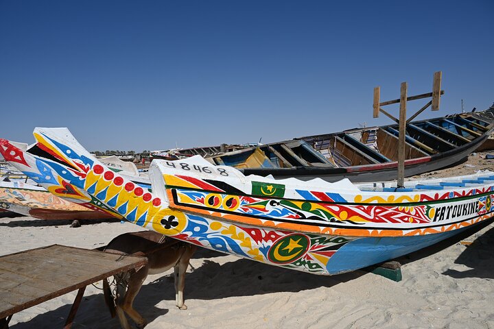 Cultural and Adventure Tours in Mauritania