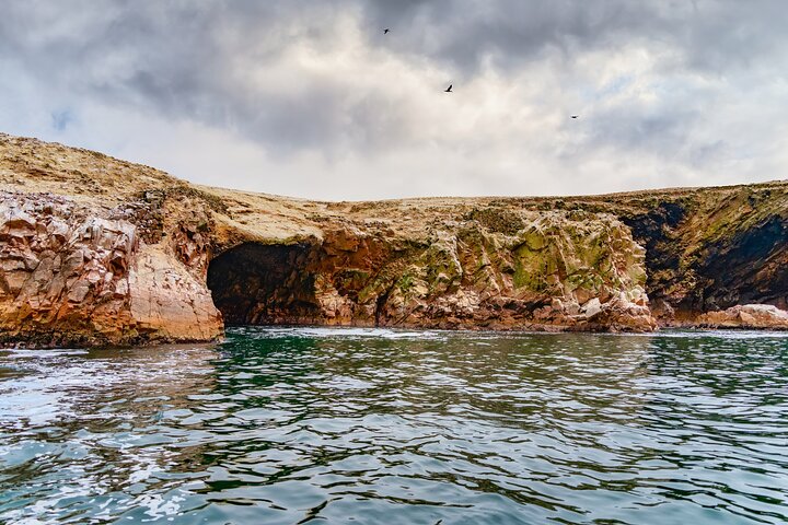 Ballestas Islands Wildlife: Private Shore Tour from Pisco Port