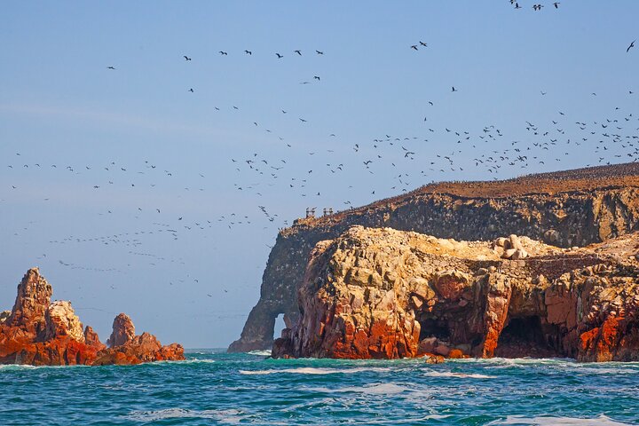 Ballestas Islands Wildlife: Private Shore Tour from Pisco Port