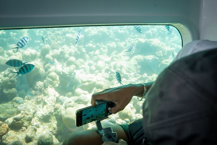 Semi Submarine Tour in Saint Anne Marine National Park