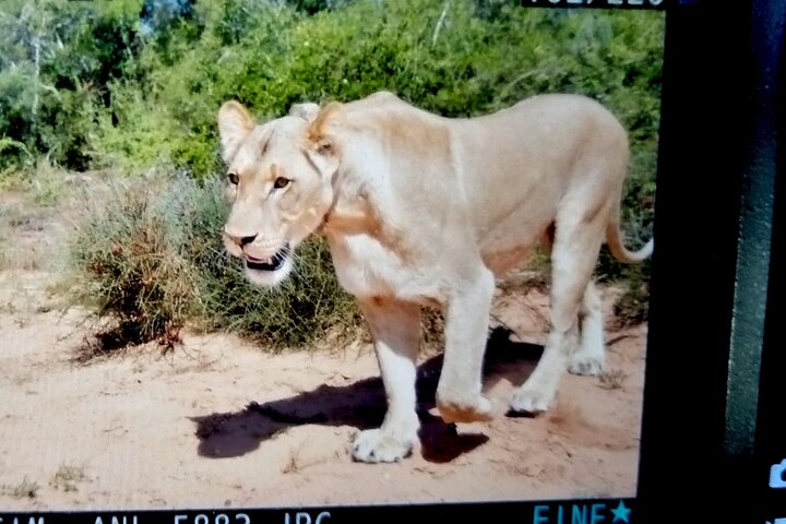 Addo Elephant National Park