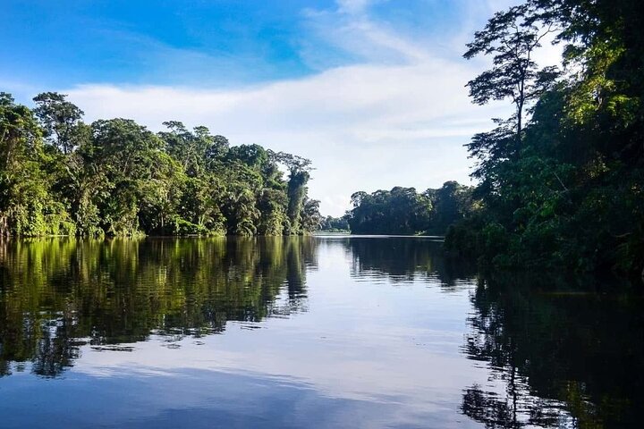 Tortuguero Tour in Canoe Canals with Electric Motor