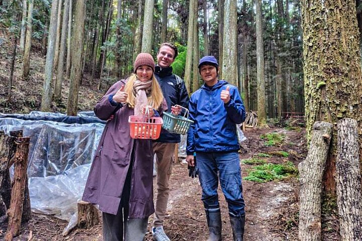 Oita: Shiitake Mushroom Farm Tour & Tasting