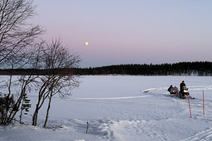 Reindeer Husbandry with Snowmobile Sleigh Ride and Cabin Lunch