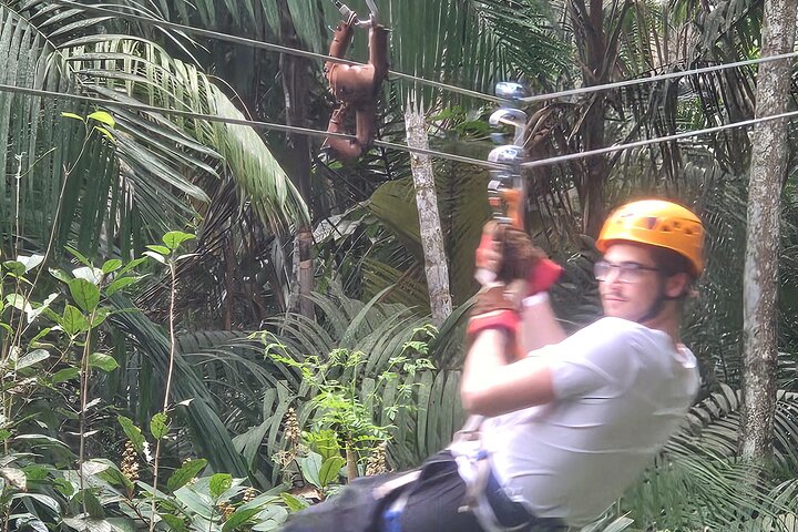 Gamboa Rainforest: Hike Trail, Boat Expedition & Optional Zipline