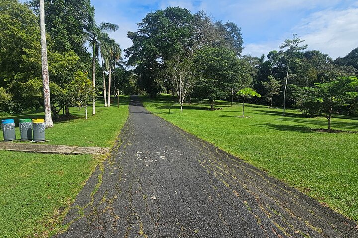Gamboa Rainforest: Hike Trail, Boat Expedition & Optional Zipline