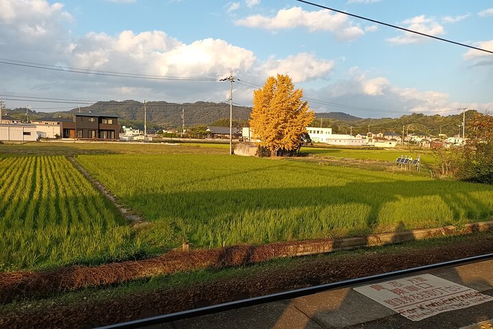 Kumano Kodo Kii-ji Walking Tour from Hoshiya Station
