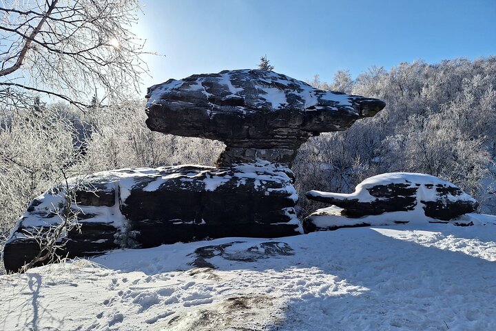 Bohemian & Saxon Switzerland Small Group Tour from Dresden