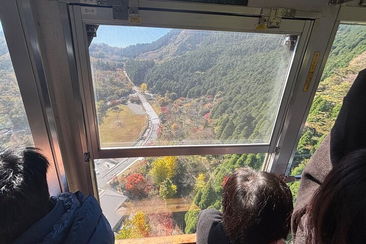 Discover Beppu and Yufuin Nature and Onsen Trip