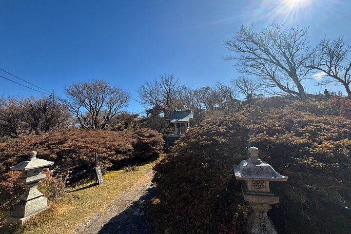 Discover Beppu and Yufuin Nature and Onsen Trip