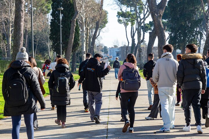Pompeii & Mt. Vesuvius Elite Tour & Lunch From Naples