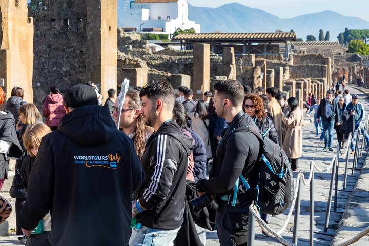 Pompeii Guided Premium Tour From Naples