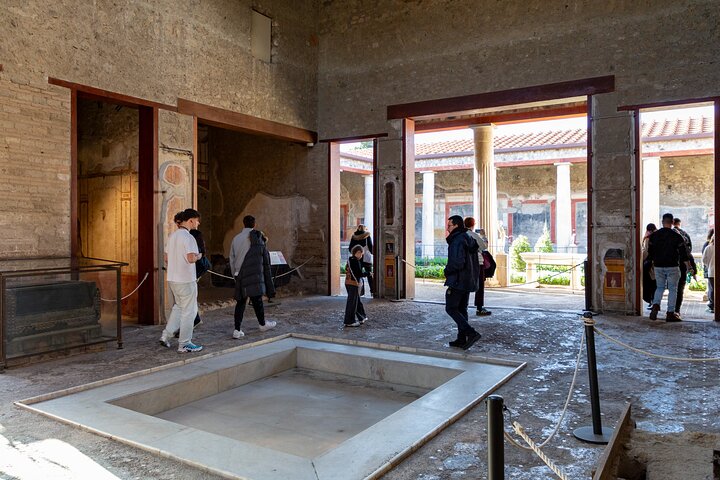Pompeii Guided Premium Tour From Naples
