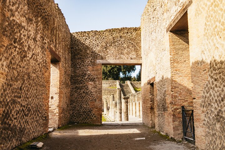 Pompeii Guided Premium Tour From Naples