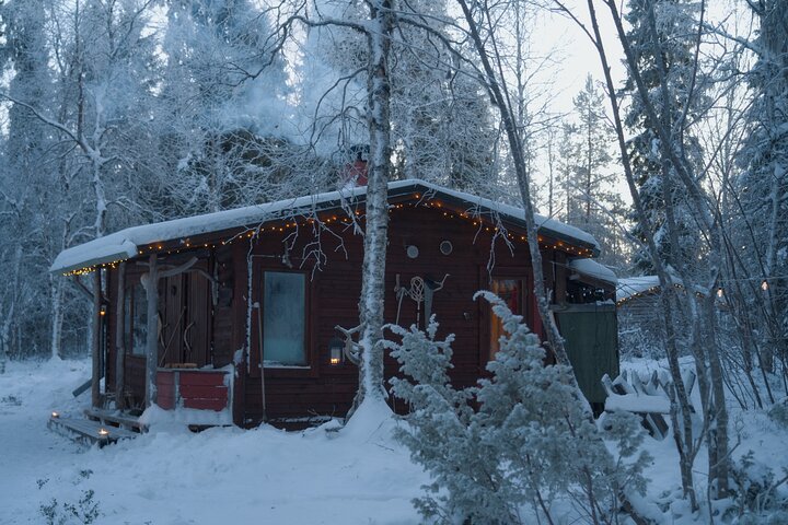 Lapland Wilderness Day Experience in Levi