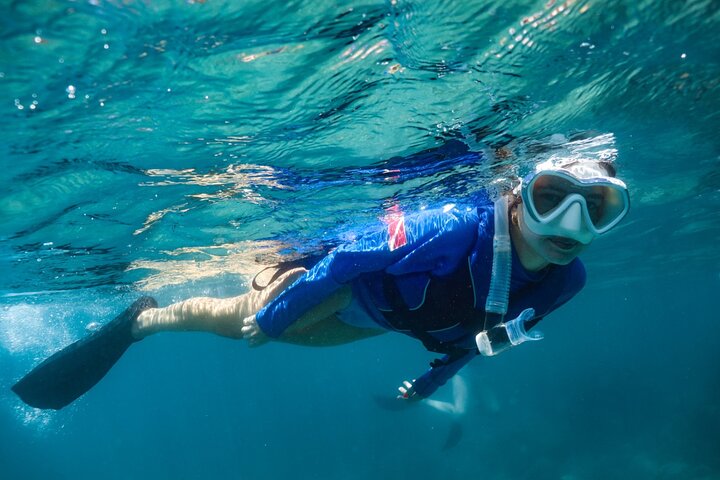 Snorkel Dive with Turtles