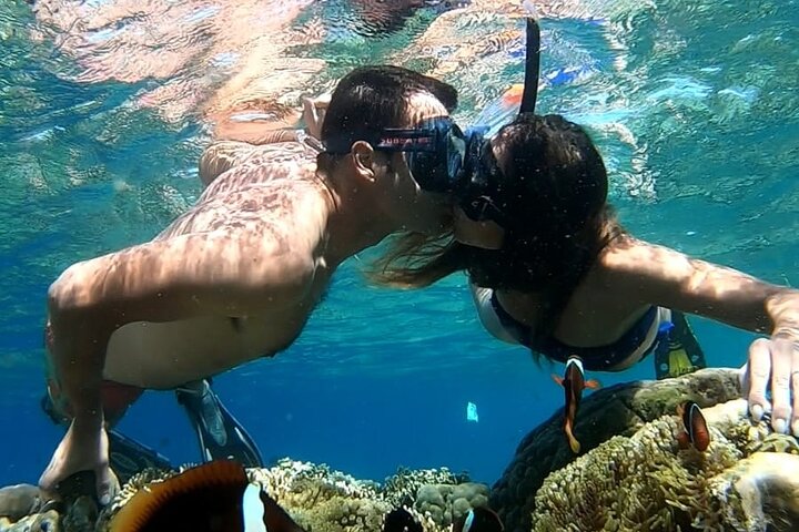 Private Snorkeling Tour of Gili Islands in Air Meno and Trawangan